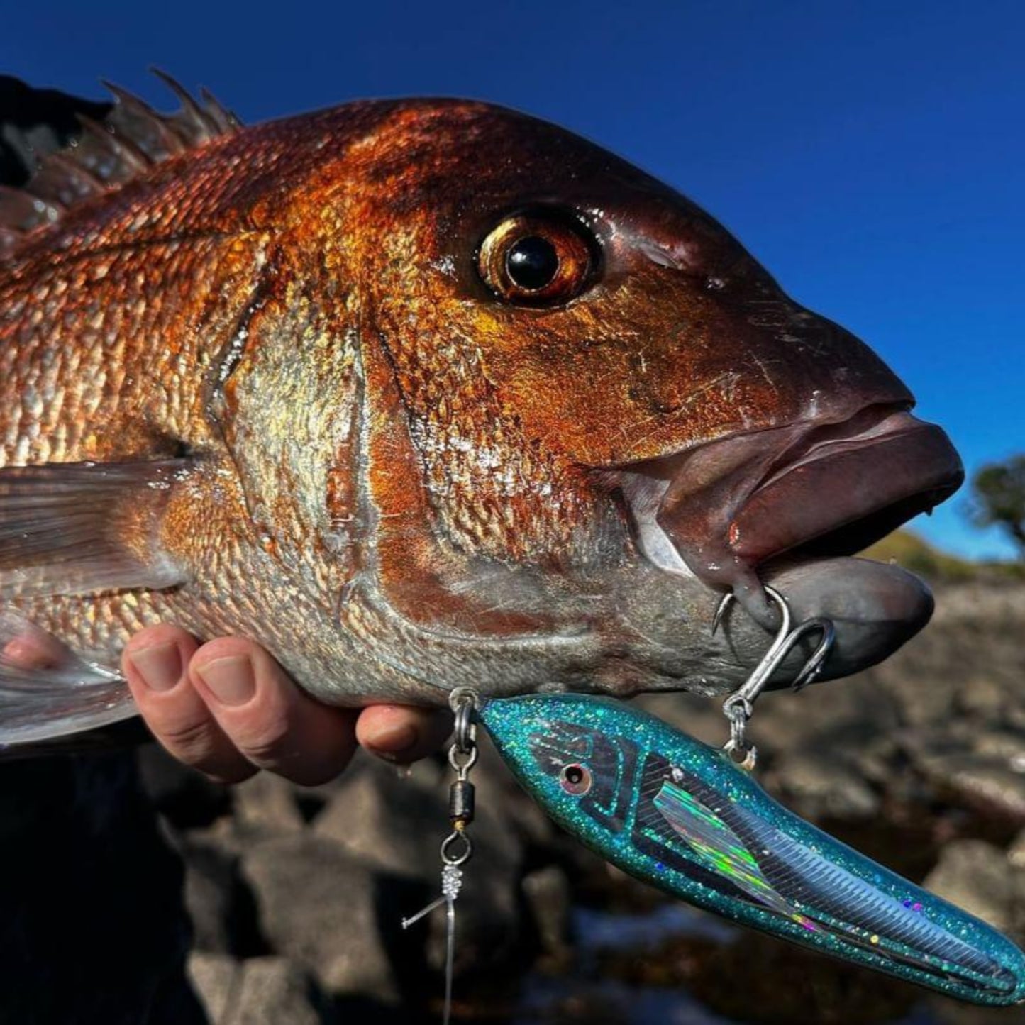 'VIPER' - Floating and Sinking Stickbaits