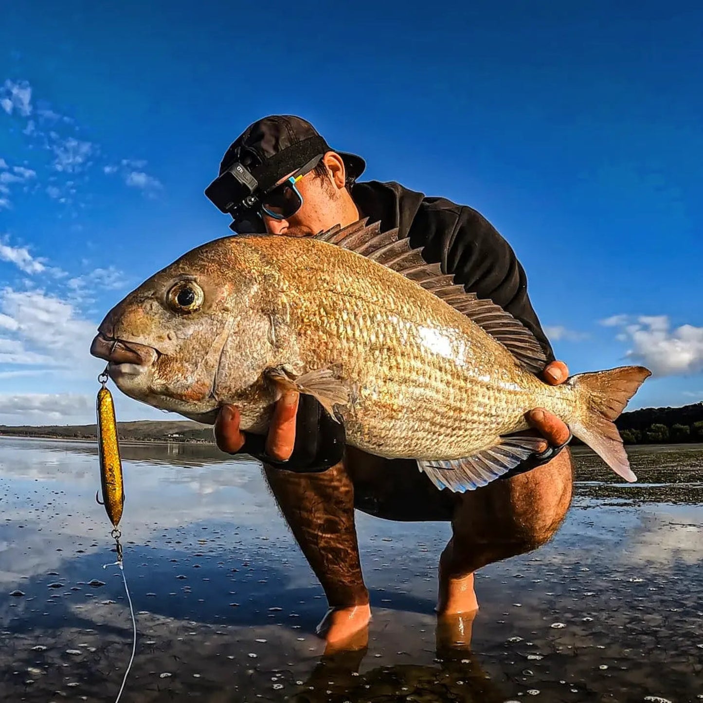 'VIPER' - Floating and Sinking Stickbaits