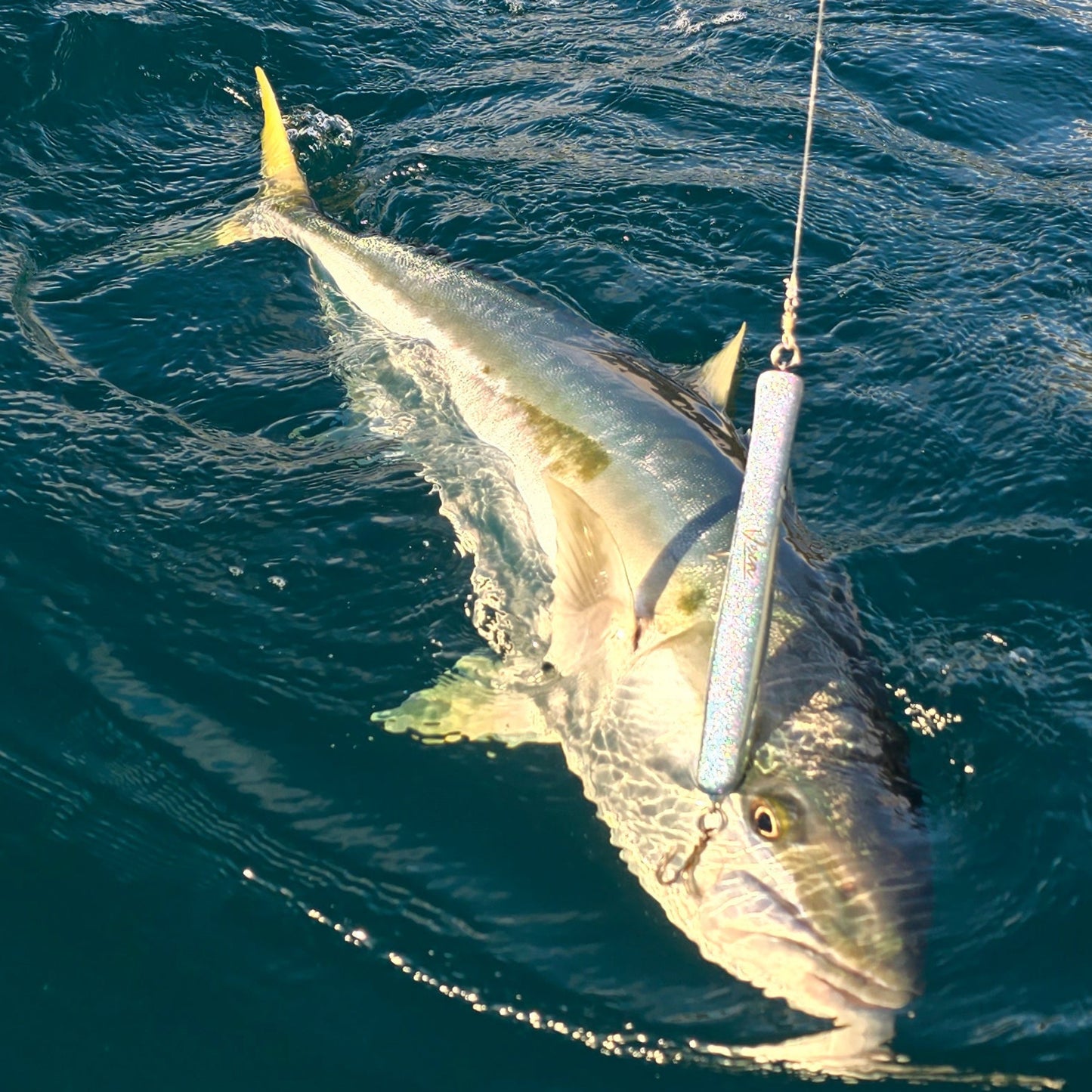 'SKIPPY' - Skipping Popper