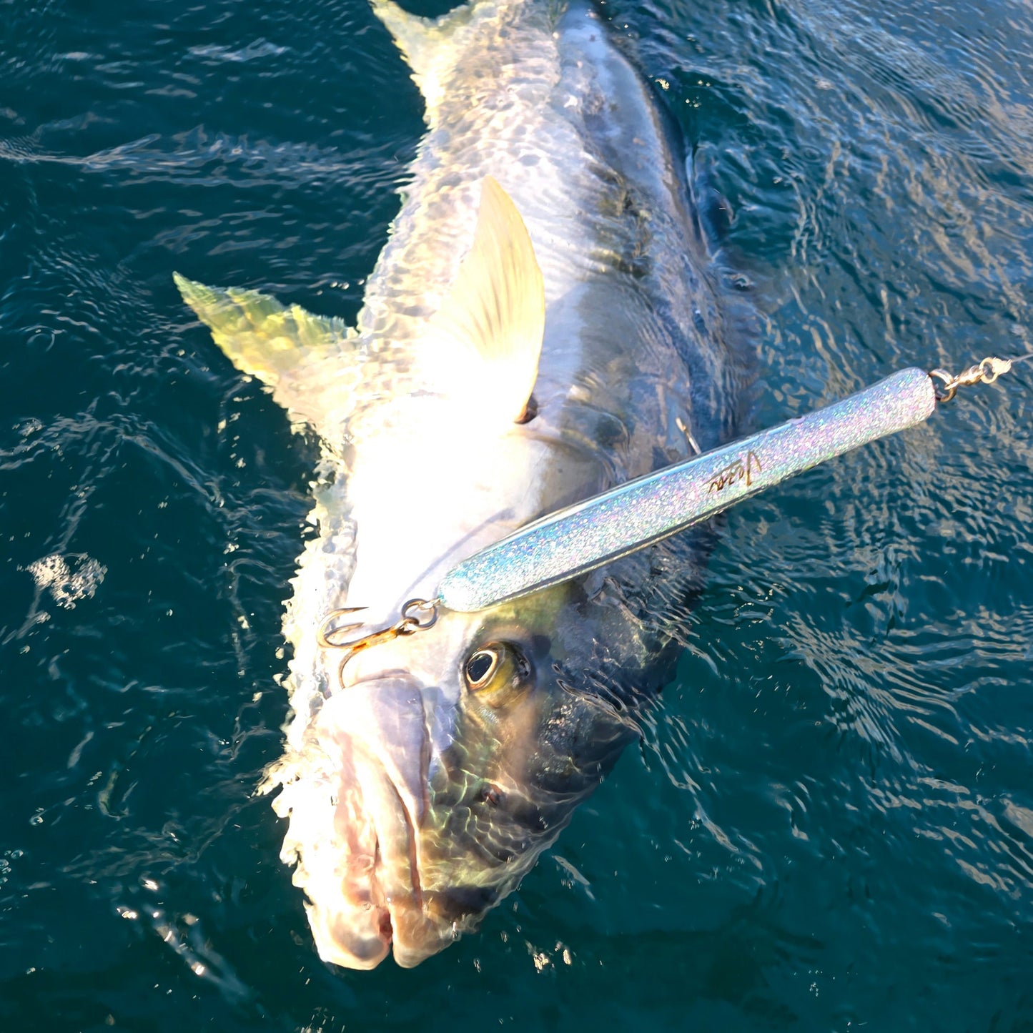 'SKIPPY' - Skipping Popper