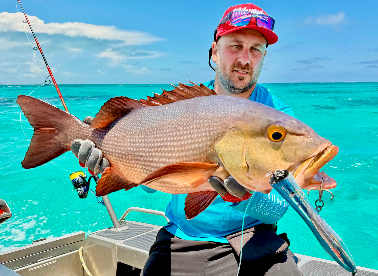 'IGNITER' Long Popper